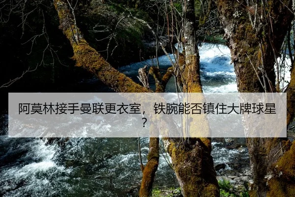 阿莫林接手曼联更衣室，铁腕能否镇住大牌球星？