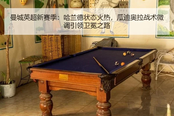 man-cheng-ying-chao-xin-sai-ji-ha-lan-de-zhuang-tai-huo-re-gua-di-ao-la-zhan-shu-wei-diao-yin-ling-wei-mian-zhi-lu-2-500.jpg