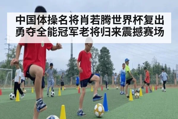 中国体操名将肖若腾世界杯复出勇夺全能冠军老将归来震撼赛场