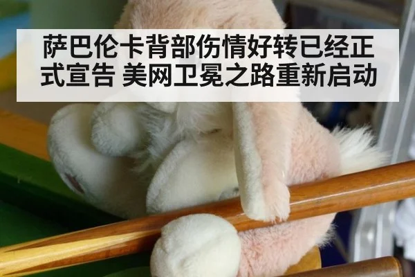 萨巴伦卡背部伤情好转已经正式宣告 美网卫冕之路重新启动