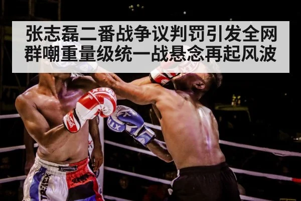 boxer training gloves