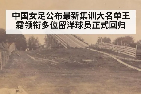 中国女足公布最新集训大名单王霜领衔多位留洋球员正式回归
